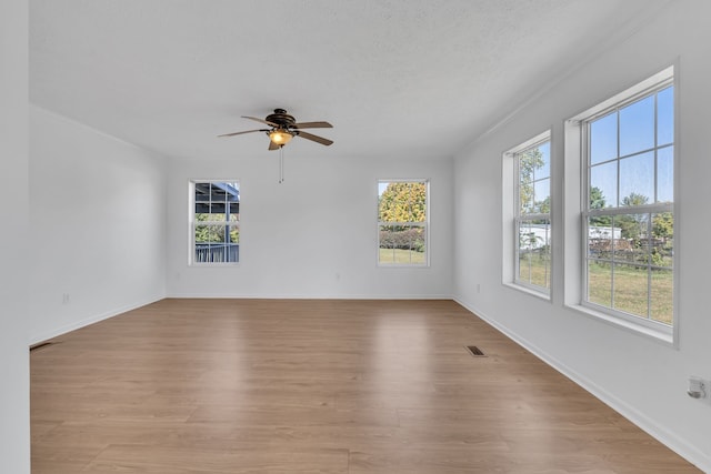 spare room featuring a wealth of natural light, a textured ceiling, and light hardwood / wood-style flooring