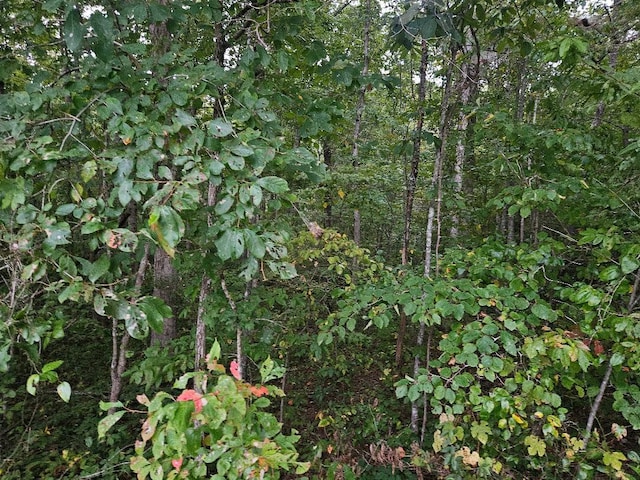 0 Sells Cemetery Rd, Wilder, TN 38589