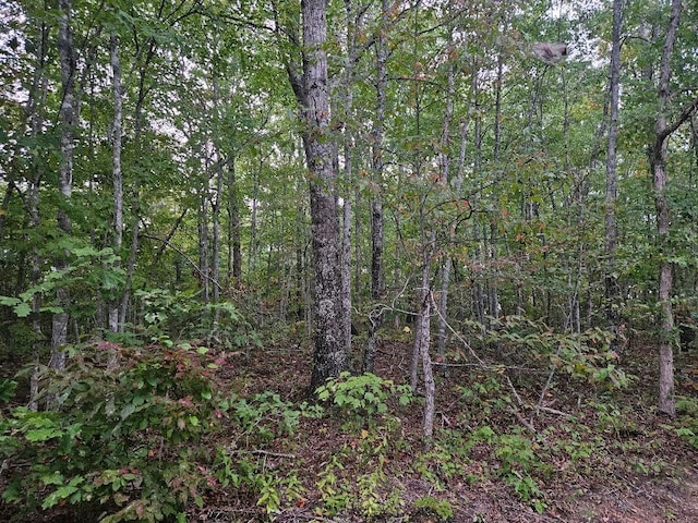 0 Sells Cemetery Rd, Wilder, TN 38589