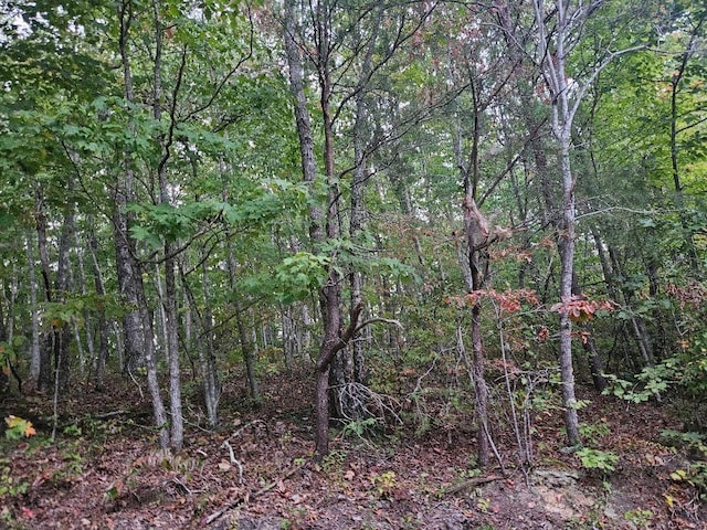 0 Sells Cemetery Rd, Wilder, TN 38589