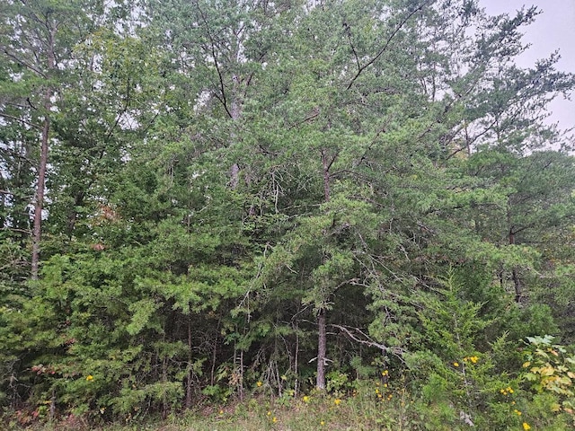 0 Sells Cemetery Rd, Wilder, TN 38589
