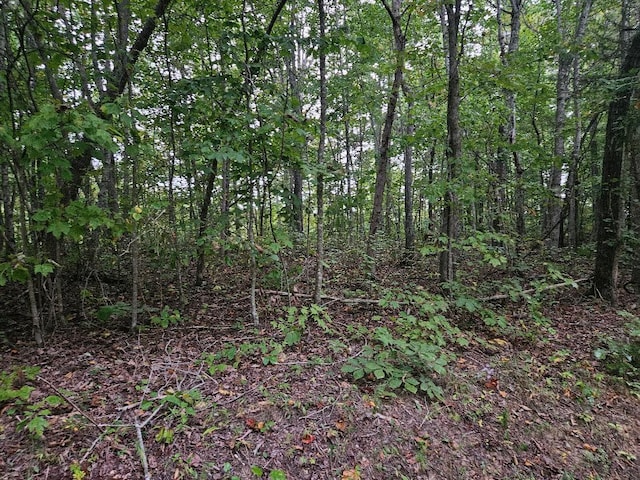 0 Sells Cemetery Rd, Wilder, TN 38589