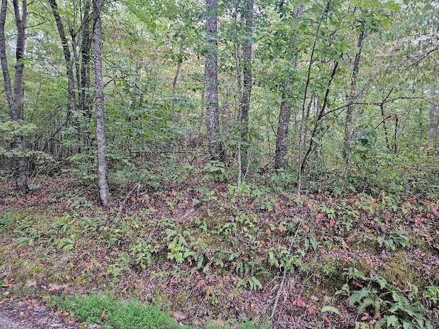 0 Sells Cemetery Rd, Wilder, TN 38589