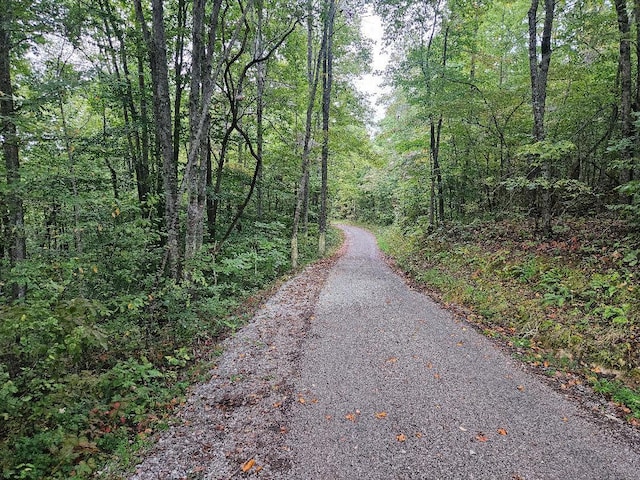 0 Sells Cemetery Rd, Wilder, TN 38589