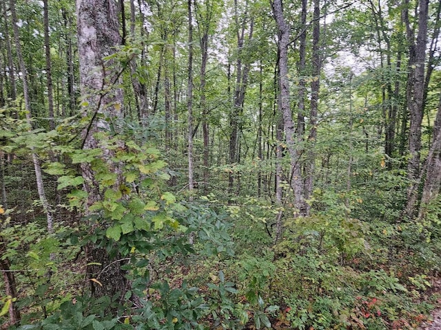 0 Sells Cemetery Rd, Wilder, TN 38589