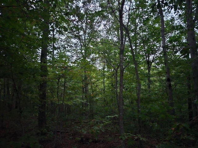 0 Sandy Rd, Wilder, TN 38589