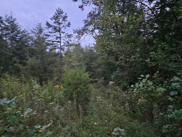 0 Sandy Rd, Wilder, TN 38589