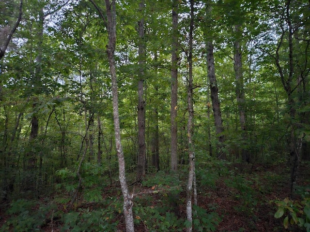 Listing photo 2 for 0 Sandy Rd, Wilder TN 38589