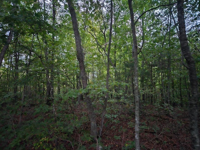 0 Sandy Rd, Wilder, TN 38589