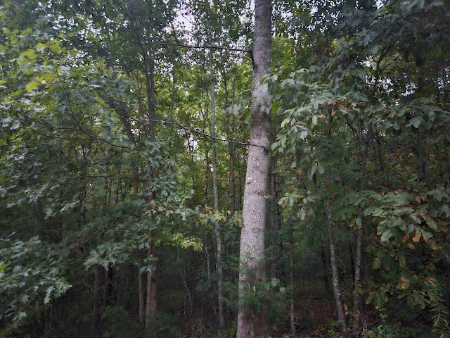 0 Sandy Rd, Wilder, TN 38589