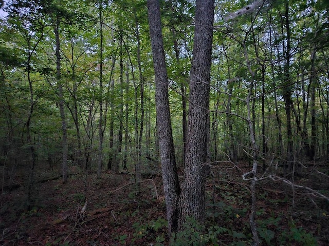 0 Sandy Rd, Wilder TN, 38589 land for sale