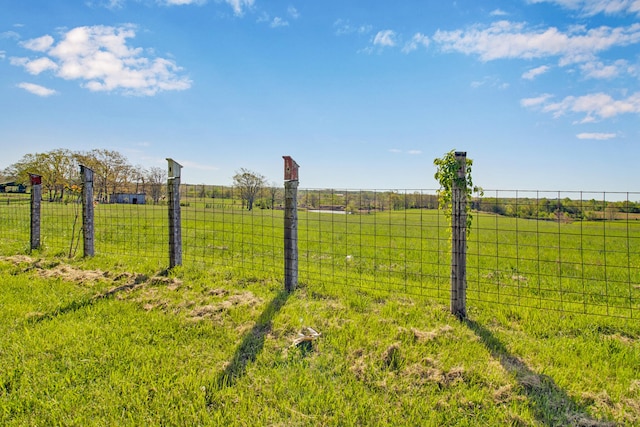 view of yard with a rural view