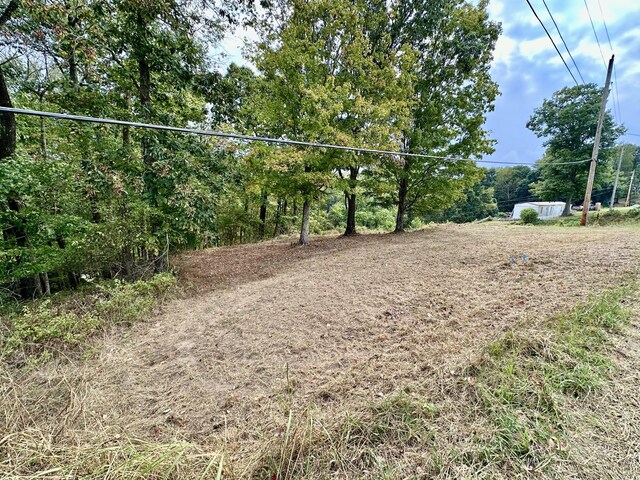 1330 Shell Rd, Goodlettsville, TN 37072 - photo 3