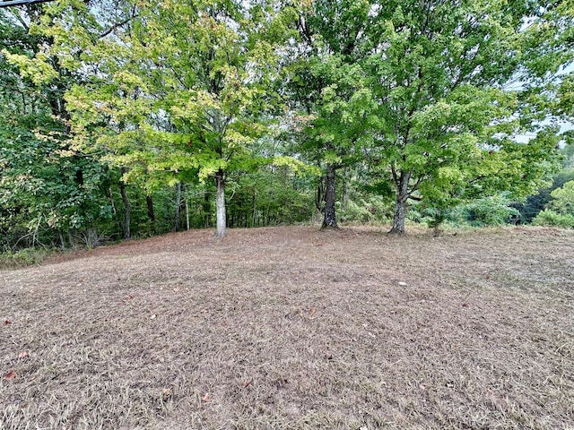 1330 Shell Rd, Goodlettsville, TN 37072 - photo 2