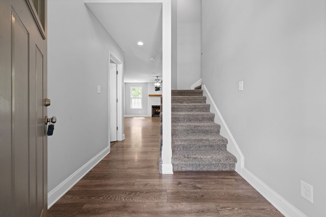 staircase with wood-type flooring and ceiling fan