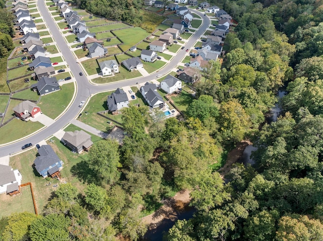 bird's eye view