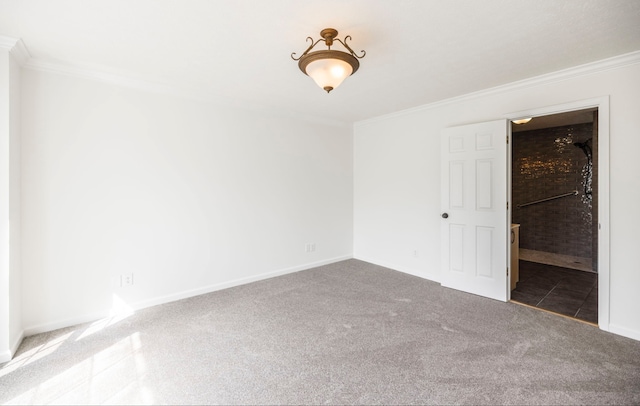 empty room featuring carpet flooring and ornamental molding