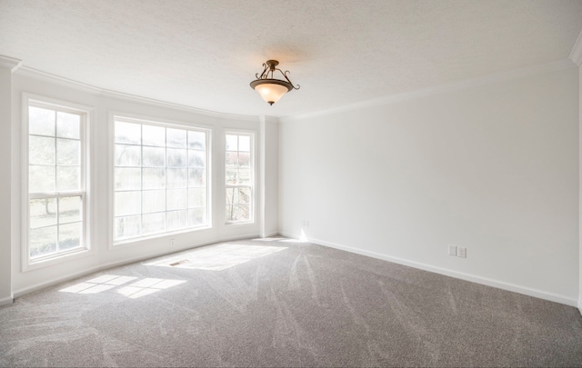 empty room featuring ornamental molding, carpet, and a textured ceiling