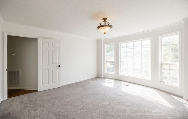 empty room with a textured ceiling, carpet flooring, and a wealth of natural light