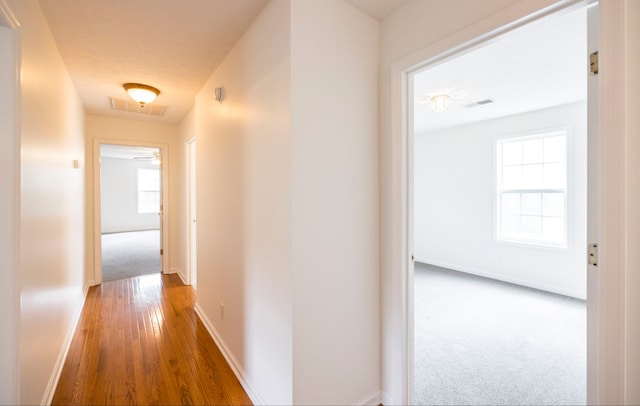 corridor featuring hardwood / wood-style flooring