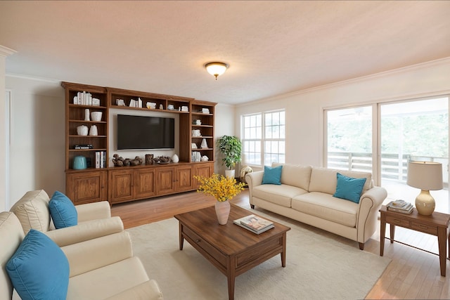 living room with a textured ceiling, light wood-type flooring, and crown molding