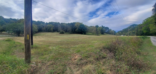 Listing photo 2 for 0 Kemp Hollow Rd, Pleasant Shade TN 37145