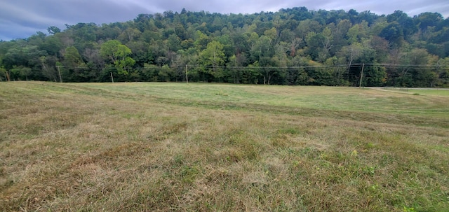 Listing photo 3 for 0 Kemp Hollow Rd, Pleasant Shade TN 37145