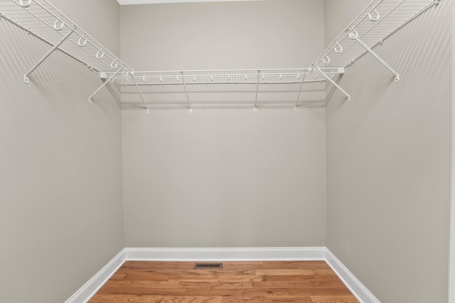 walk in closet with hardwood / wood-style flooring