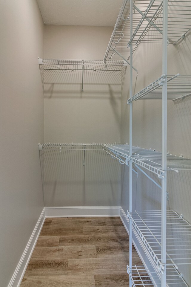 spacious closet featuring wood-type flooring