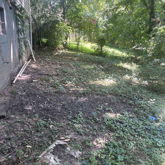 430 Shelby St, Clarksville, TN 37042 - photo 3