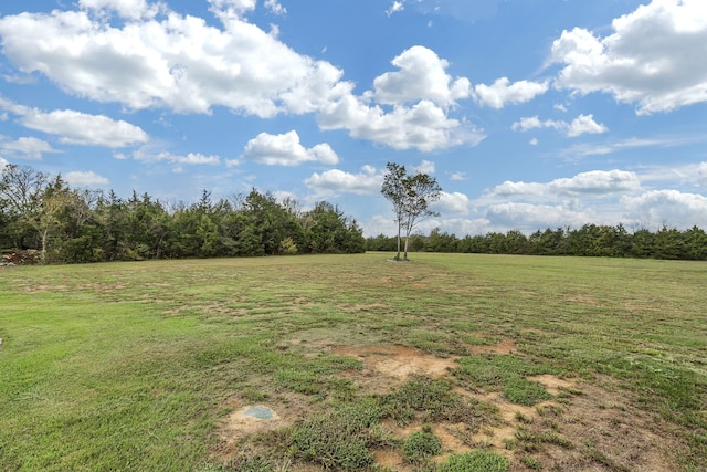 view of yard featuring a rural view