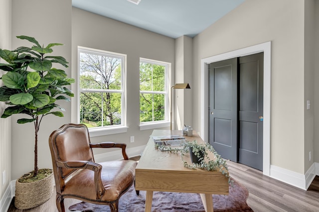 sitting room featuring wood-type flooring