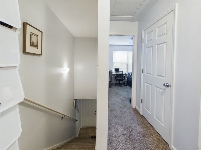 stairs with carpet flooring