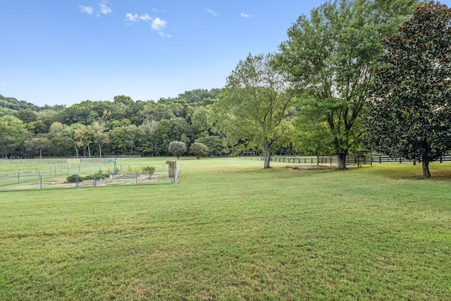 view of yard with a rural view