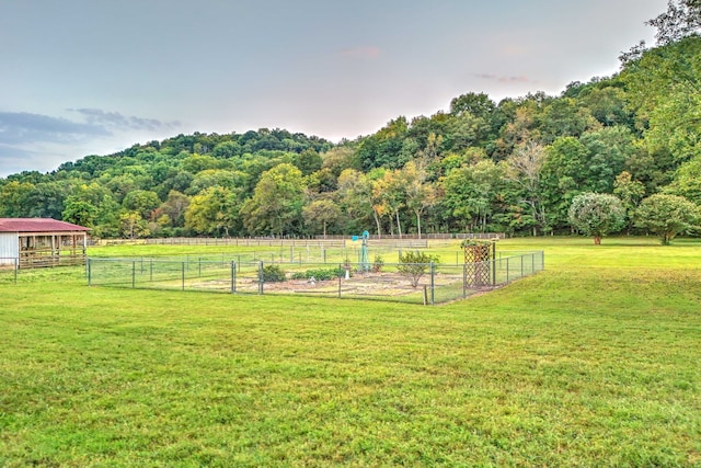 view of yard with a rural view