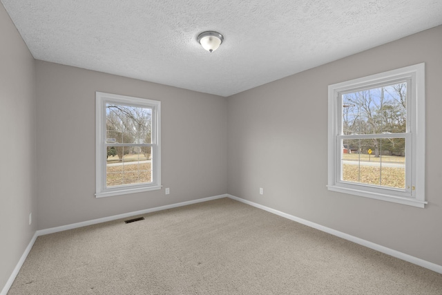 carpeted empty room with a healthy amount of sunlight and a textured ceiling