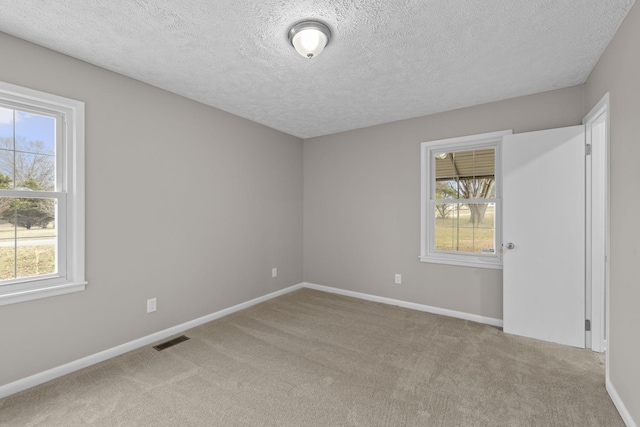 unfurnished room featuring a healthy amount of sunlight, light colored carpet, and a textured ceiling