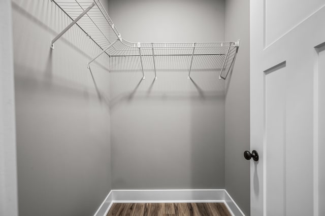 spacious closet featuring hardwood / wood-style floors