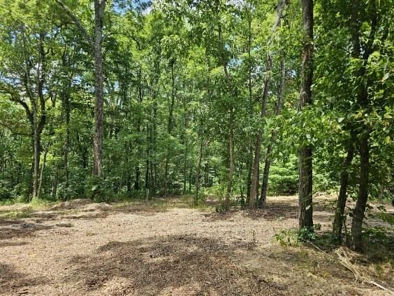 0 Sugar Rdg, Spring Hill, TN 37174 - photo 21