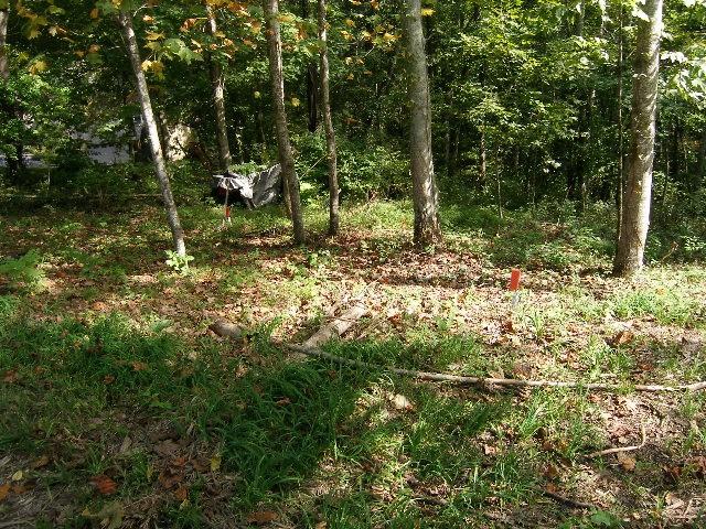 0 Sugar Rdg, Spring Hill, TN 37174 - photo 19