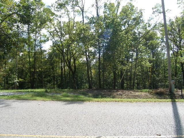 0 Sugar Rdg, Spring Hill, TN 37174 - photo 5