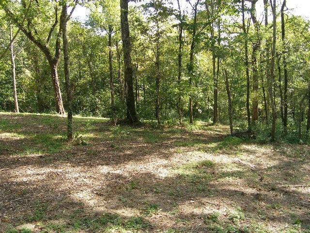 0 Sugar Rdg, Spring Hill, TN 37174 - photo 15