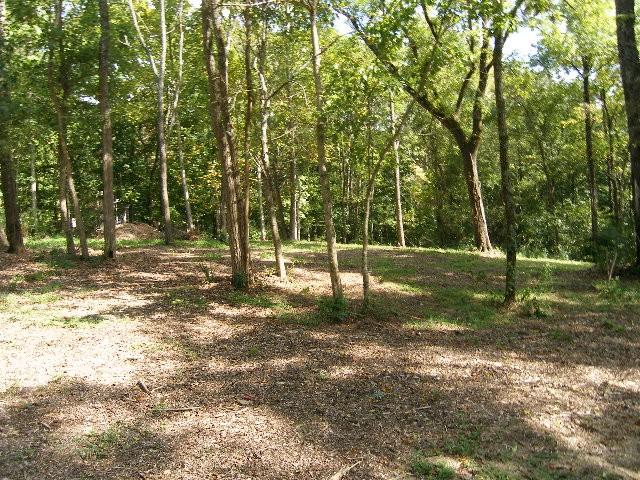 0 Sugar Rdg, Spring Hill, TN 37174 - photo 16