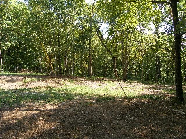0 Sugar Rdg, Spring Hill, TN 37174 - photo 8