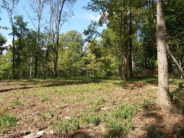 0 Sugar Rdg, Spring Hill, TN 37174 - photo 12