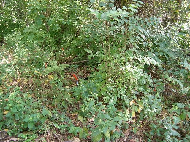 0 Sugar Rdg, Spring Hill, TN 37174 - photo 29