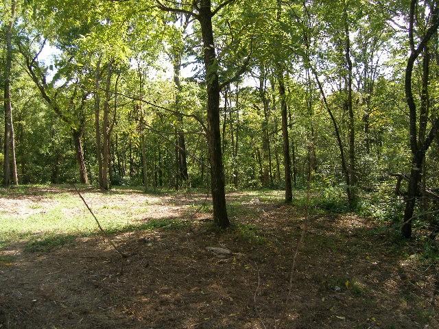 0 Sugar Rdg, Spring Hill, TN 37174 - photo 17