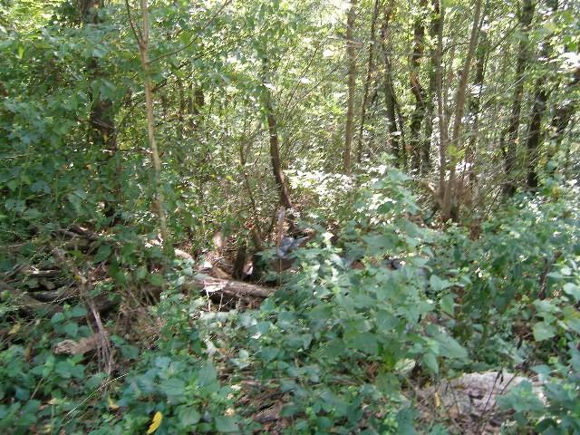 0 Sugar Rdg, Spring Hill, TN 37174 - photo 23