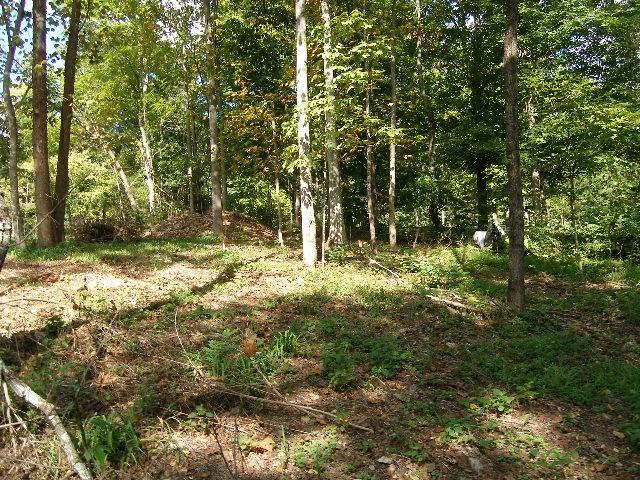 0 Sugar Rdg, Spring Hill, TN 37174 - photo 13