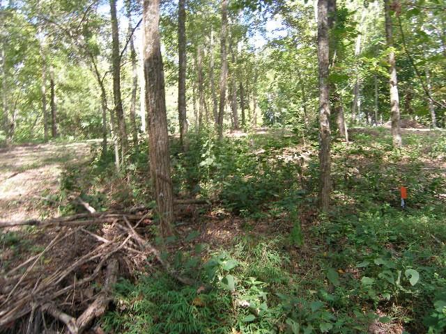 0 Sugar Rdg, Spring Hill, TN 37174 - photo 25
